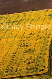 other of Milk Hill nr Alton Barnes