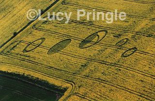 other of Milk Hill nr Alton Barnes