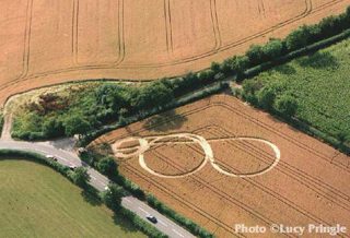other of Nr Yeovil