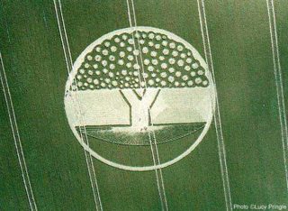 other of Alton Barnes