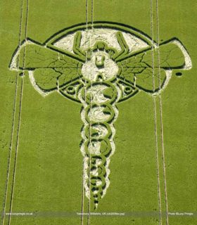 other of Yatesbury