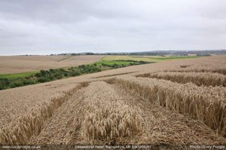 other of Cheesefoot Head
