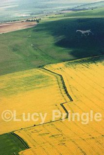 other of Milk Hill nr Alton Barnes