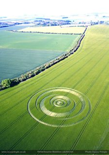other of Winterbourne Monkton