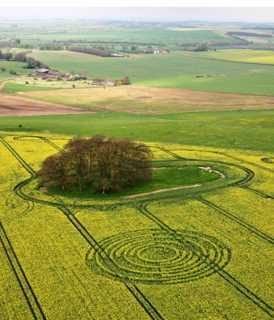 other of Avebury