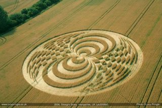 other of Straight Soley