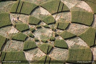 other of Rollright Stones