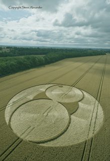 aerial of Fairfold from tt