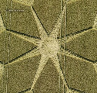 aerial of Tichborne from tt