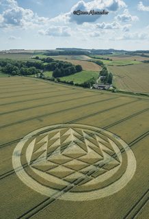 aerial of Tichborne from tt