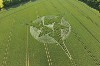 aerial of Savernake Forest from tt