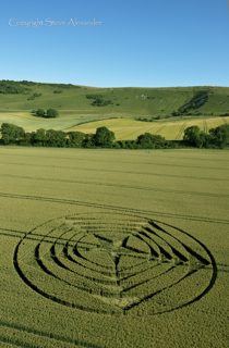 aerial of Wilmington Longman, East Sussex