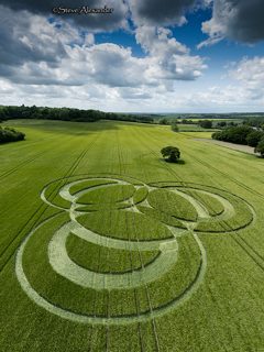 aerial of Long Wood from tt