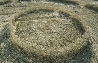 other of Rollright Stones from tt