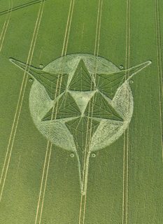 aerial of Savernake Forest from tt