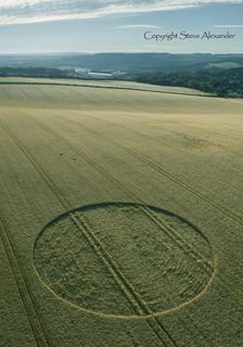 aerial of Falmer