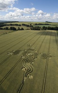 aerial of West Woods (nr Lockeridge) from tt