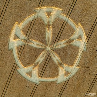 aerial of Badbury Rings
