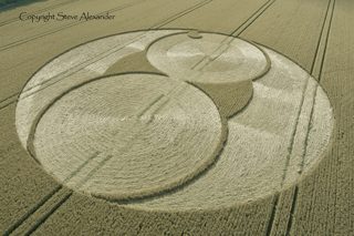 aerial of Fairfold from tt