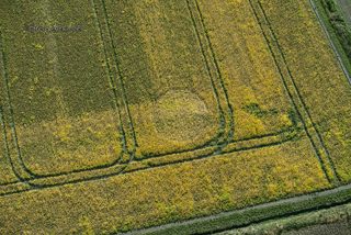 aerial of Marden Copse