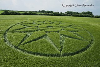 aerial of Willoughboy Hedge from tt
