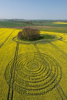 aerial of Avebury from tt