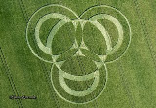 aerial of Long Wood from tt