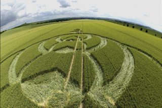 other of Milk Hill
