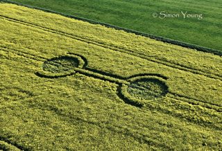 aerial of Waden Hill from tt