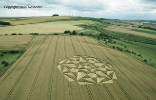 aerial of Ranscomb Bottom from tt