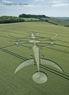 aerial of Clearbury Ring from tt