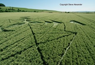 aerial of Hackpen Hill from tt