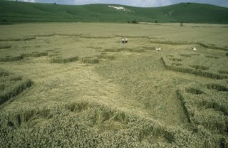 other of Milk Hill