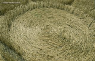 aerial of Nursteed from tt