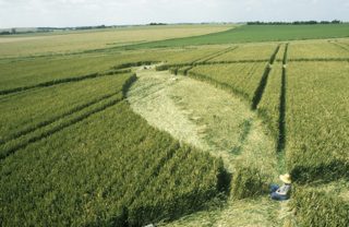 other of Avebury Down