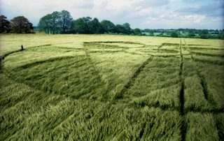 other of Winterbourne Bassett