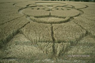 aerial of Figsbury Rings from tt