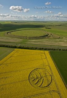 aerial of Yarnbury Castle