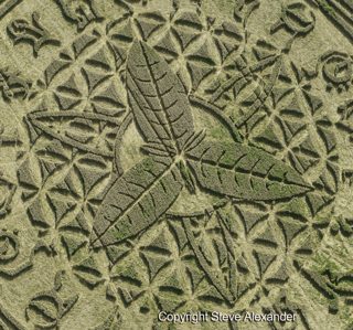 aerial of Ansty from tt