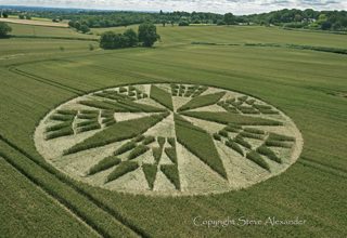 aerial of Burrow Hill Fort from tt