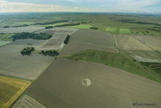 other of Chirton Bottom from tt