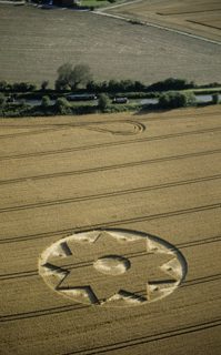 aerial of All Cannnings