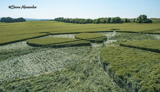 aerial of Yarnbury Castle from tt