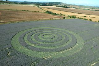 aerial of Ludgershall