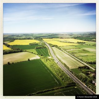 other of Willoughby Hedge from tt