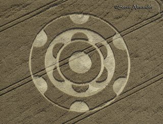 aerial of Yarnbury Castle from tt