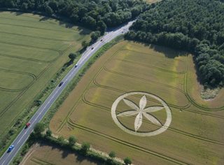 aerial of Buckland