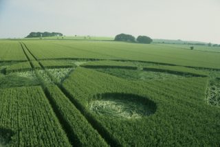 other of Avebury Trusloe