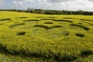 aerial of All Cannings