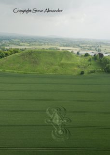 other of Castle Hill from tt